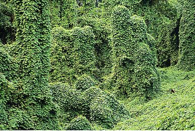 育碧免费FPS《不羁联盟》4月14日开启封闭测试