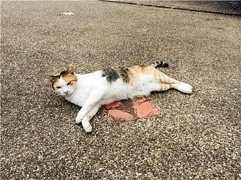 第三人称生存恐怖《白日梦魇：沙堡1994》试玩版2月21日上线